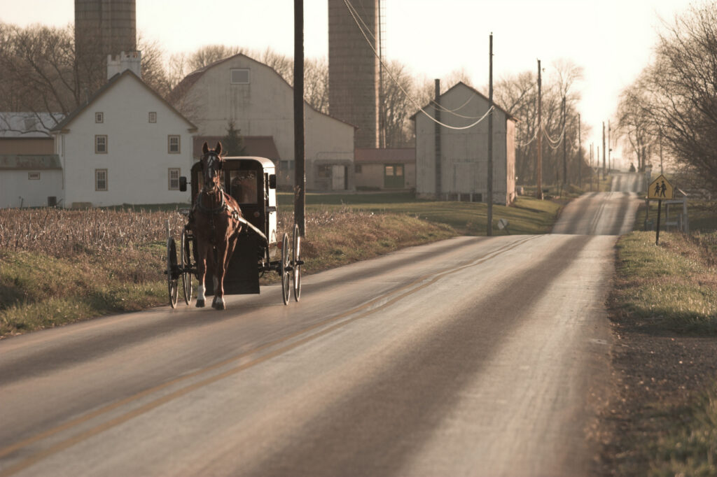 Amish Horse and buggy on a back road at sunset
